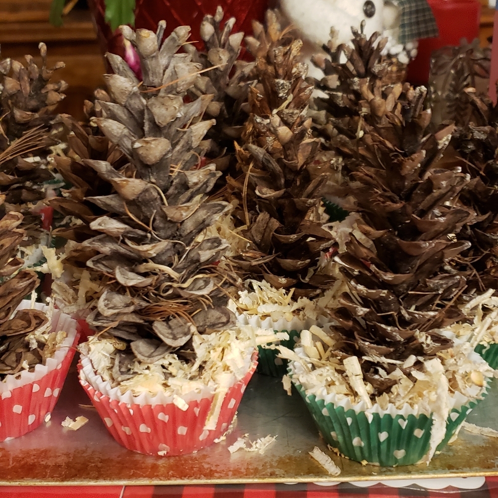 Festive Firestarters - Picture 2 of 4